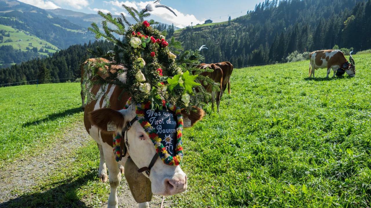 Gasthaus Obergaisberg كيرشبرغ ان تيرول المظهر الخارجي الصورة