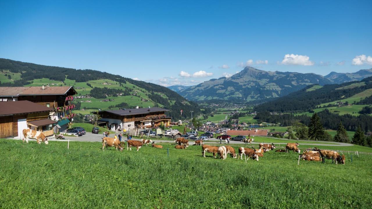 Gasthaus Obergaisberg كيرشبرغ ان تيرول المظهر الخارجي الصورة